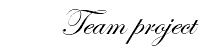 Team project 
